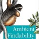 Ambient Findability