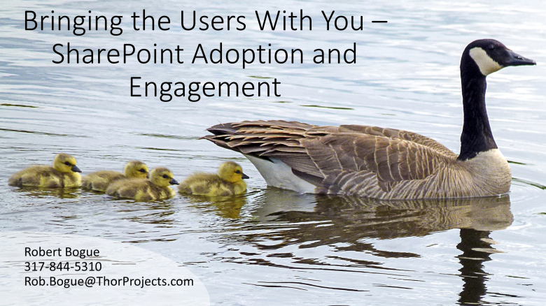 Bringing the Users With You - SharePoint Adoption